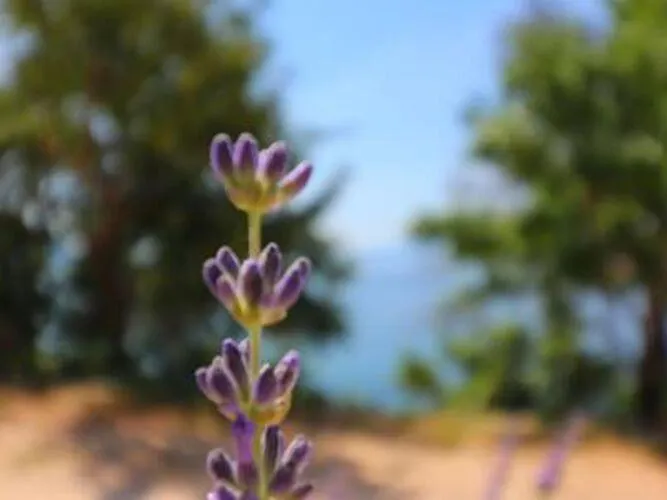 Seafront Silence - With Terrace And Sea View Apartman